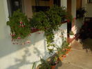 DSCN0986[1]