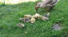 20160727_125501