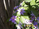 DSCN2642