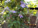 DSCN2643