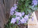 DSCN2788