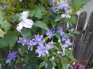 DSCN2789