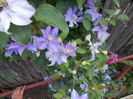 DSCN2790
