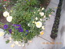 DSCN2818