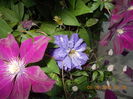 DSCN2822