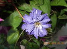 DSCN2823
