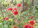DSCN3001
