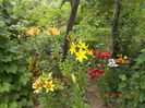 DSCN3002