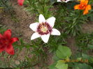 DSCN3004