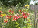 DSCN3008