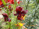 DSCN3016