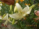 DSCN3018