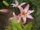 DSCN3027