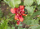 DSCN3028