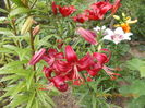 DSCN3030
