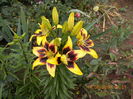 DSCN3038