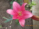 DSCN3057