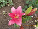 DSCN3058