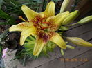 DSCN3059