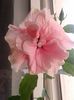 20160728_083004