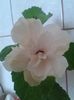 20160728_092002