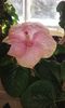 20160728_093815