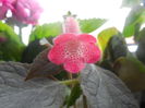 DSCN1143