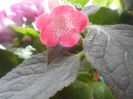 DSCN1145
