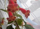 DSCN1147