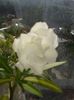 20160726_172555