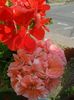 20160728_131425