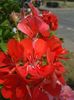 20160728_131435