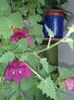 20160728_131612