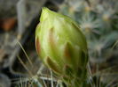 DSCN7942