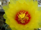 DSCN7969