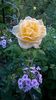 WP_20160728_081