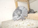 DSCN1132