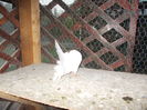 DSCN1135