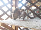DSCN1145