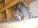 DSCN1149