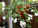 IMG_20160726_121456