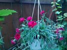 IMG_20160729_115410
