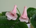 IMG_20160729_173933