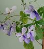IMG_20160729_175121