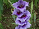 DSC09430