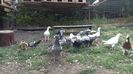 20160730_091550