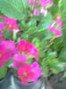 ABCD0003