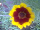 ABCD0008