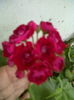 ABCD0014