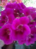 ABCD0011